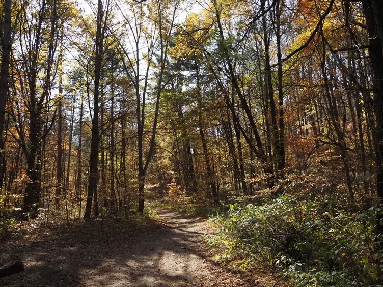 Ganaraska Forest expands thanks to generous land donation