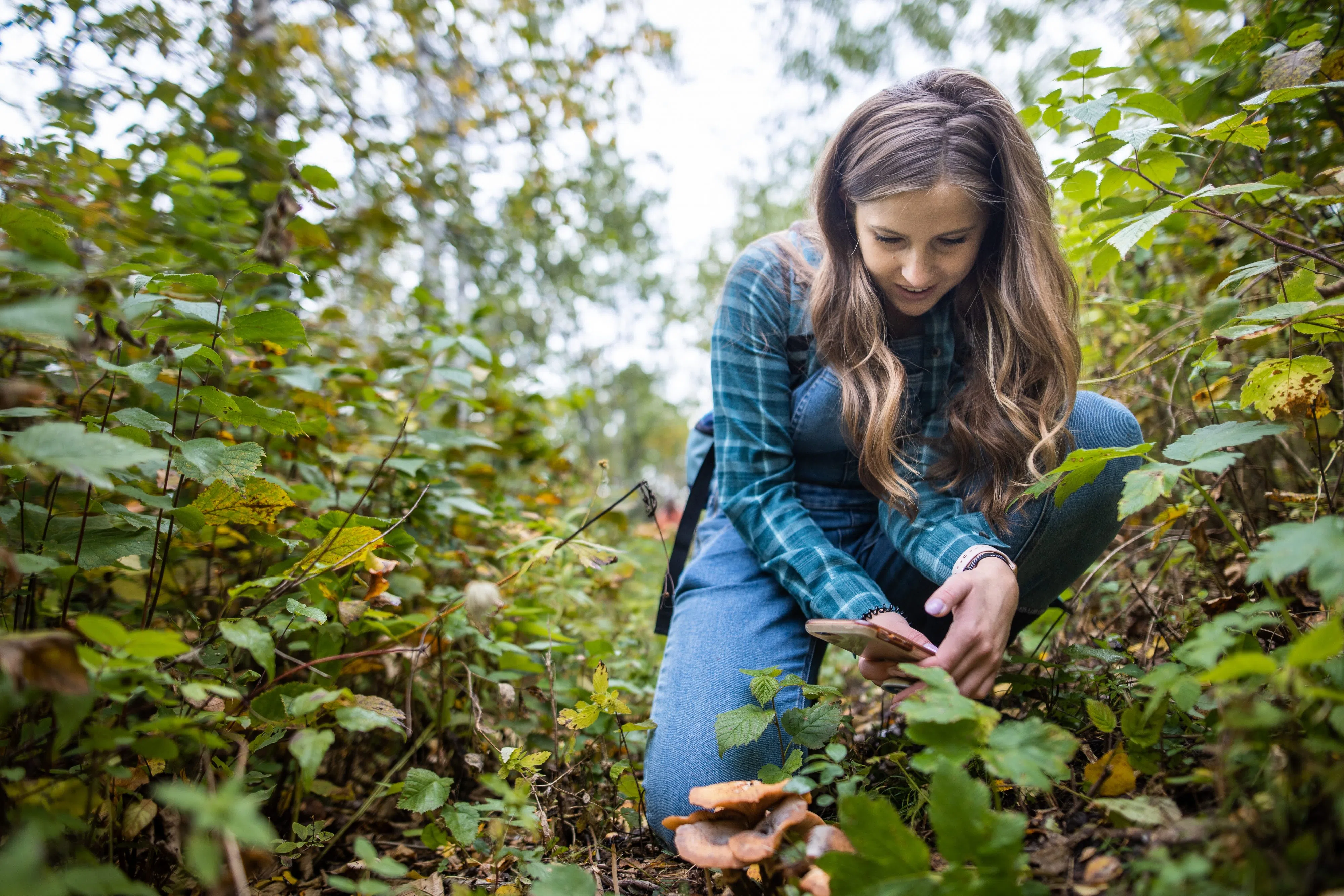5th annual Big Backyard BioBlitz returns July 28 to August 4
