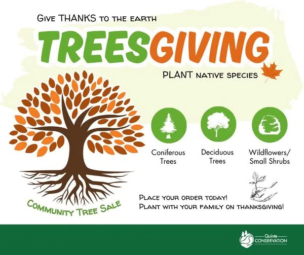 Quinte Conservation's Treesgiving returns
