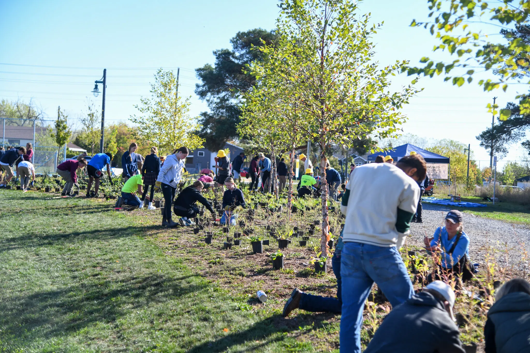 Volunteers turn out to help plant at Belleville park