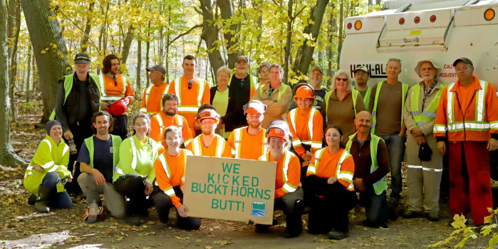 Help kick Buckthorn's butt at Sandbanks October 18 and 19