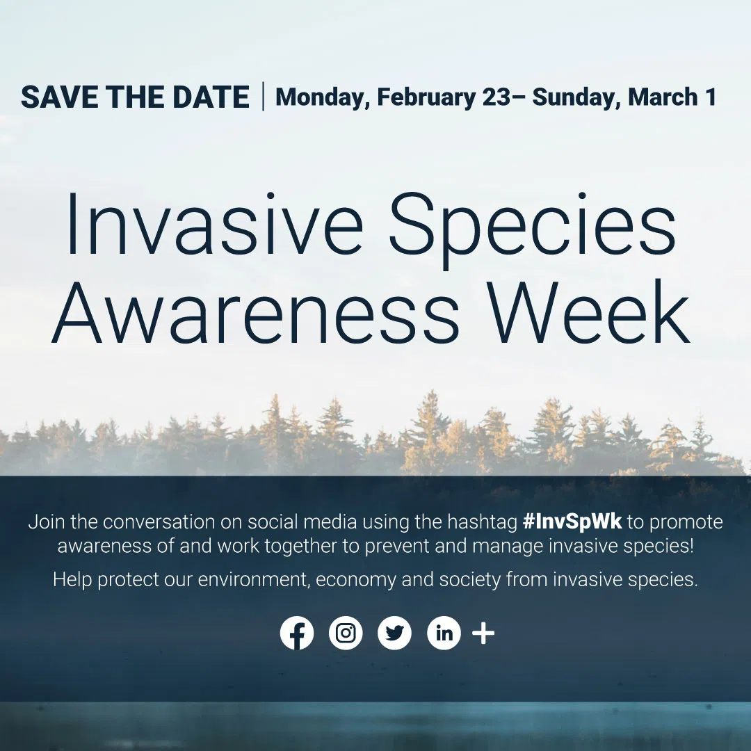 Invasive Species Awareness Week February 23-March 1