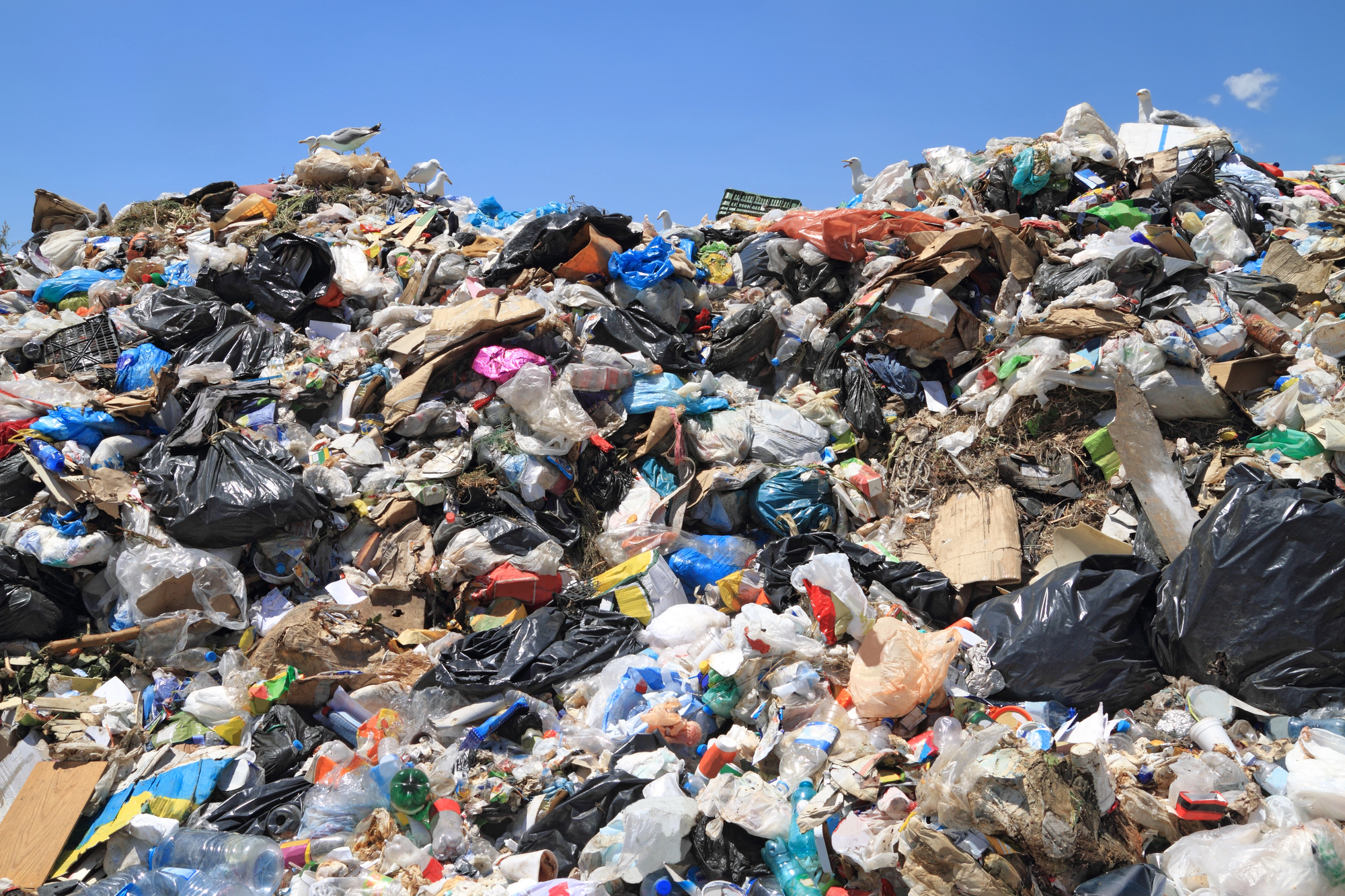 Waste Reduction Week celebrates 25 years