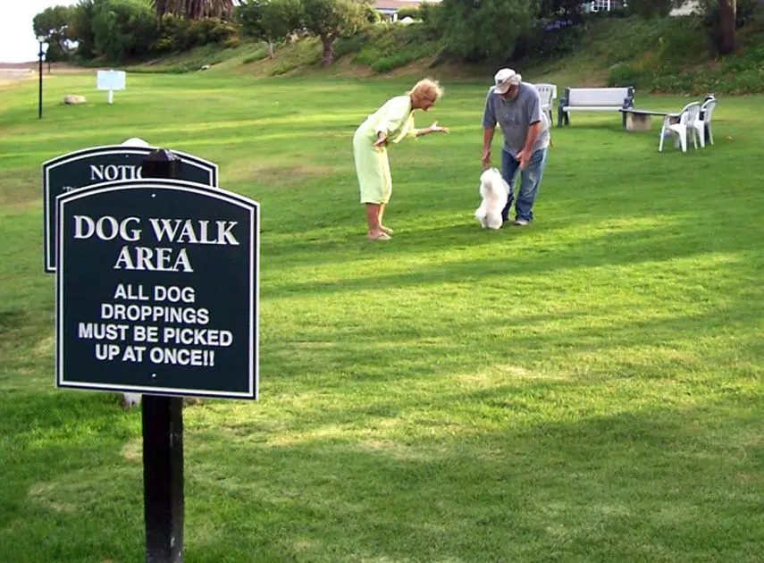 Madoc off leash dog park requires further discussion