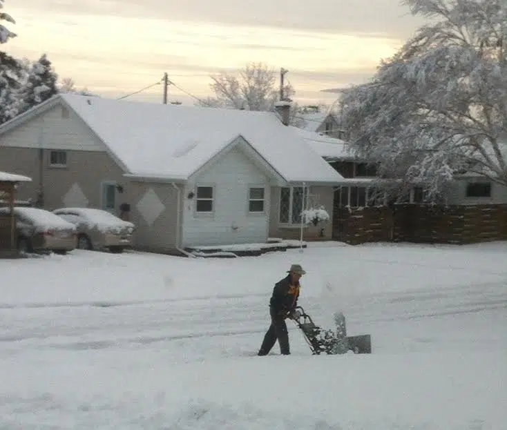 Helping to shovel the snow