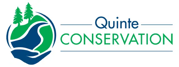 Level 2 Low Water Condition issued by Quinte Conservation