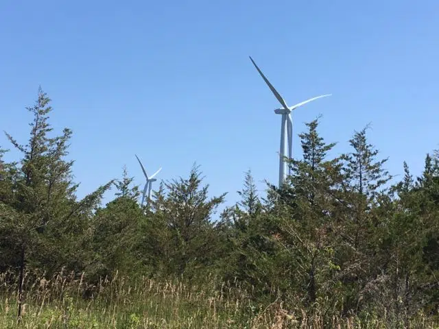 Turbines to come down next month at White Pines Wind Farm