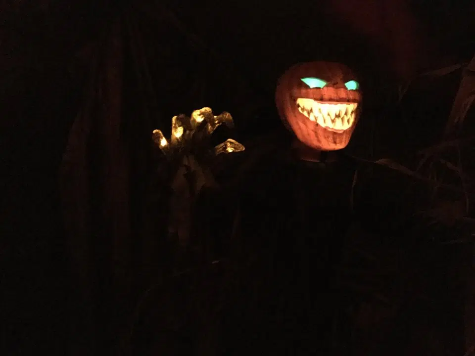 A special Halloween for a Rednersville couple