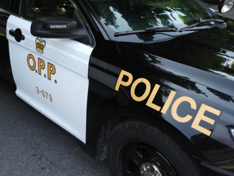 Pedestrian struck, officers assaulted in Napanee area altercation
