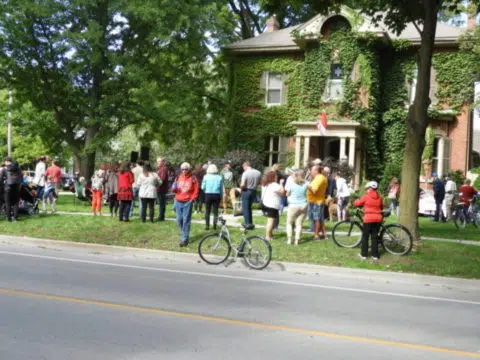 Covid parks Porchfest