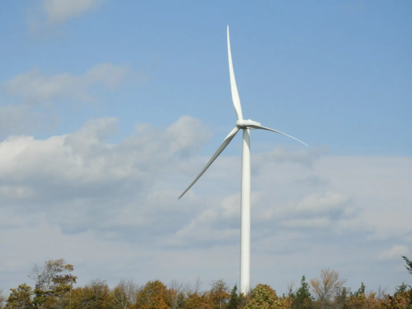 Strong winds expected Wednesday afternoon