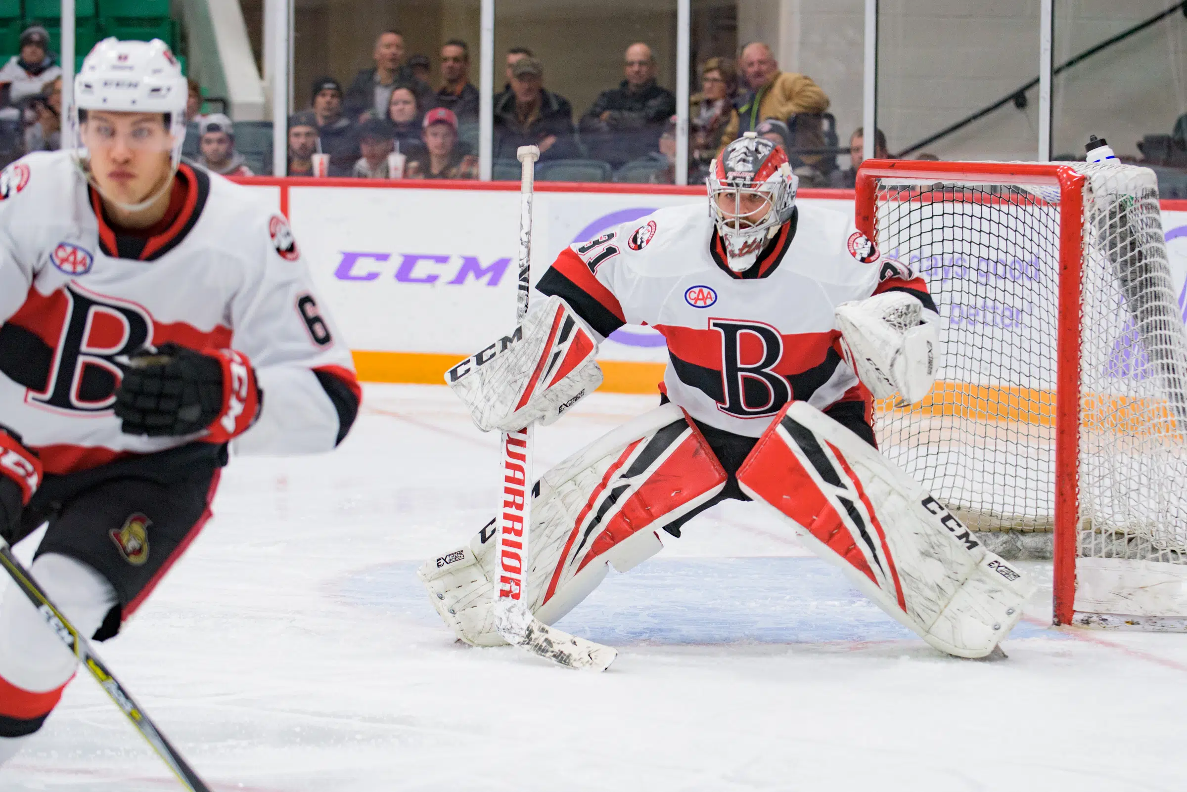 B-Sens end home stand with loss to Bridgeport