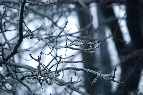 Icy conditions loom