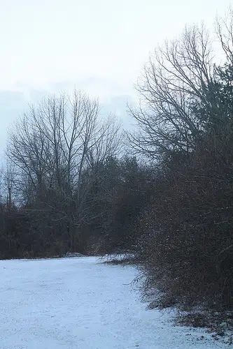 Concerns Prince Edward County's pastoral beauty is being lost