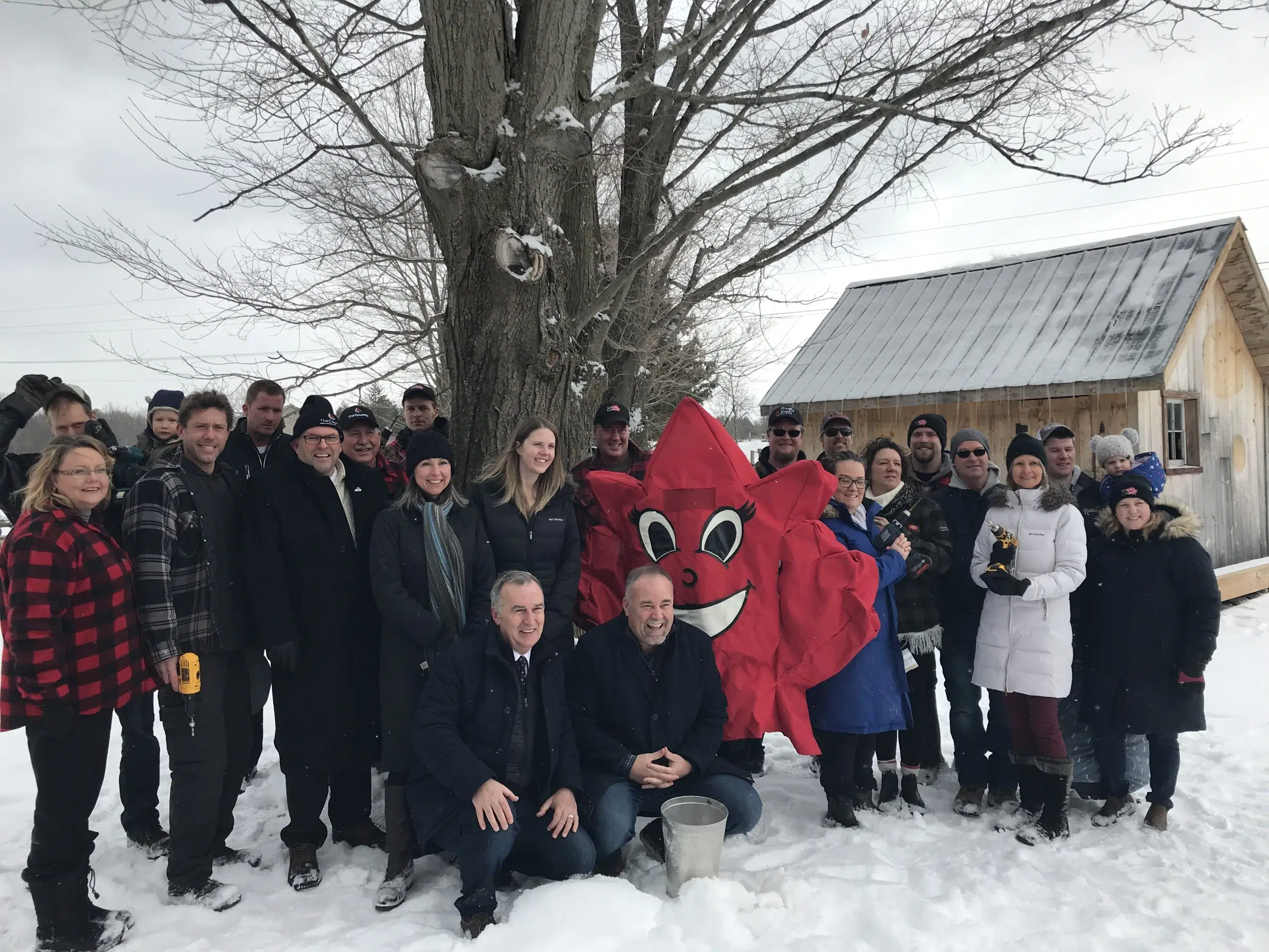 Maple in the County kicks off at LOHA Farms 