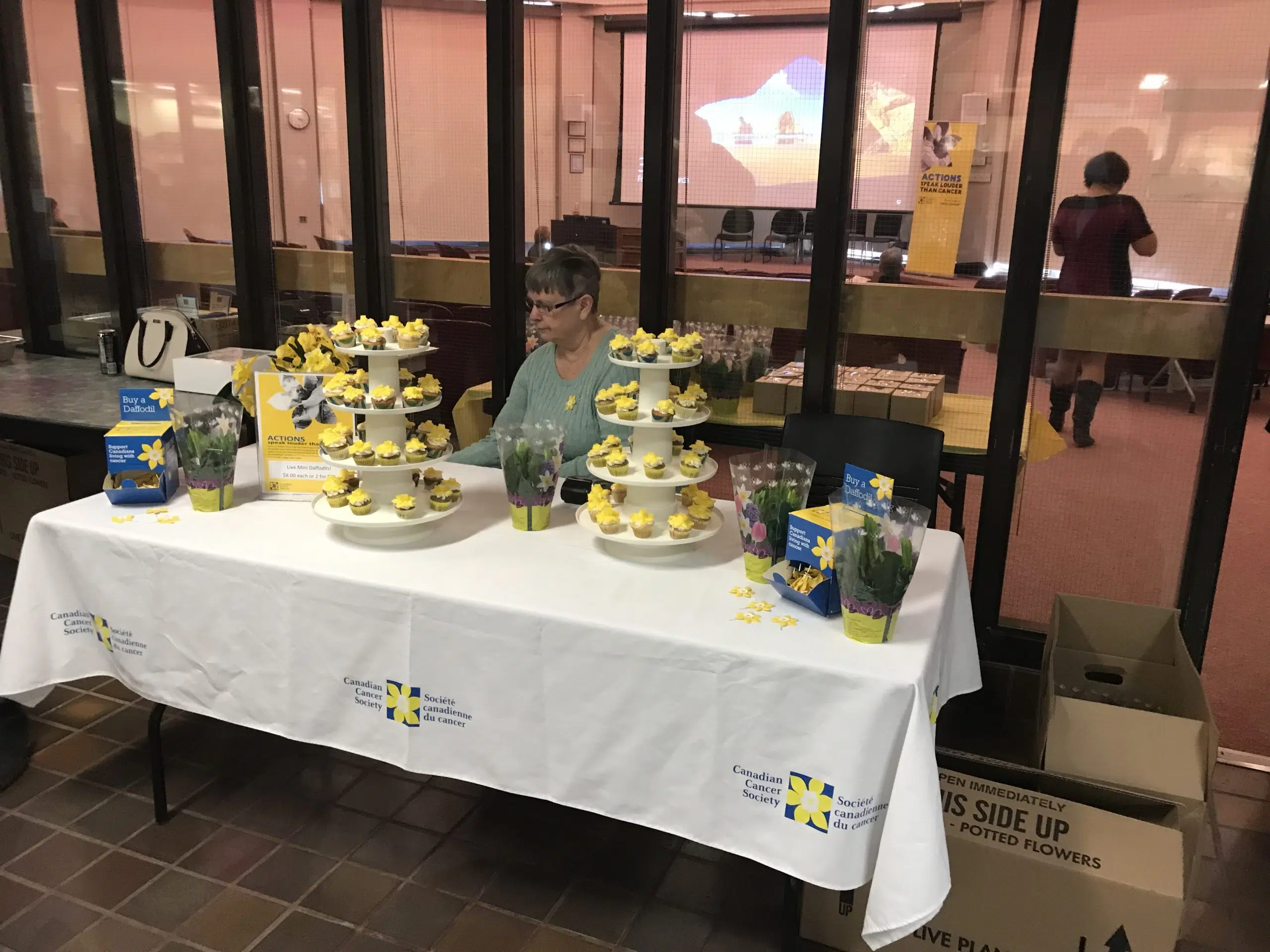 Daffodil Campaign is set to launch in Belleville 