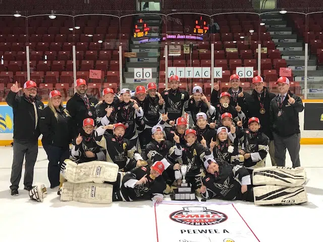 Q.W. Hawks sweep OMHA PeeWee championship