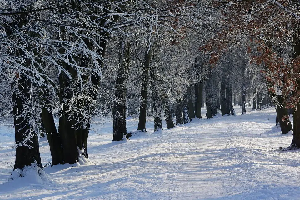 Watch out for icy trails