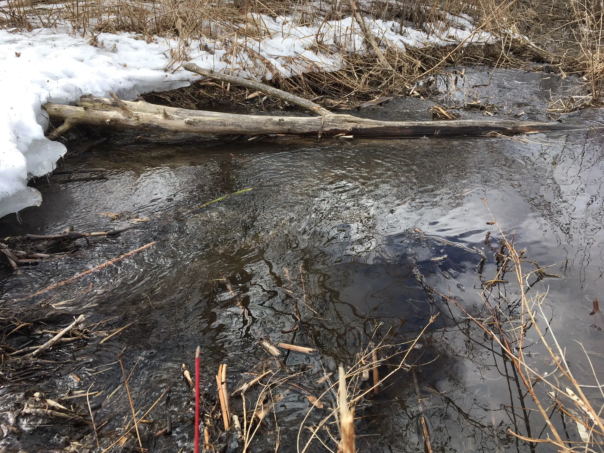 High water levels in streams expected