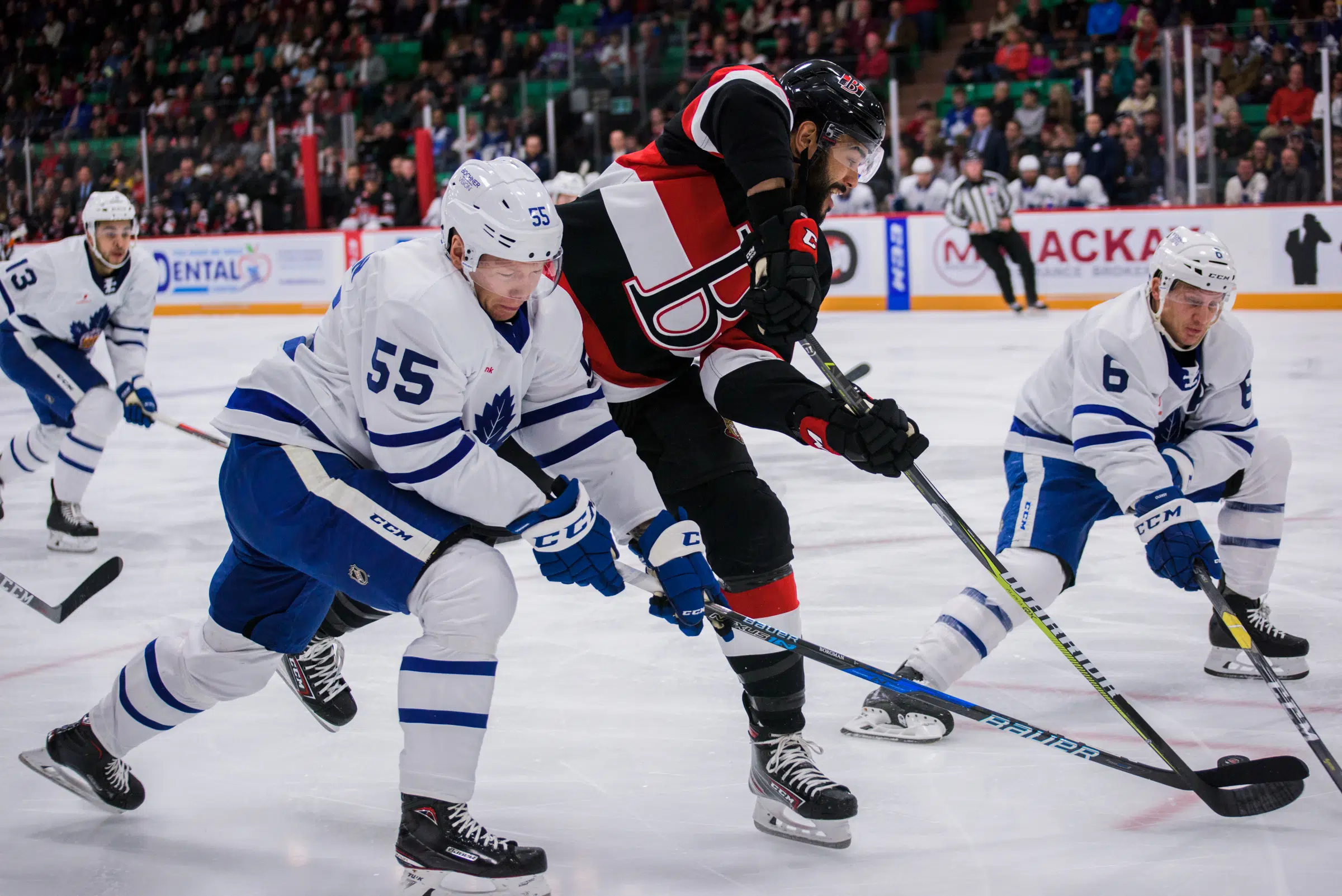 B-Sens playoff hopes take hit with loss to Marlies