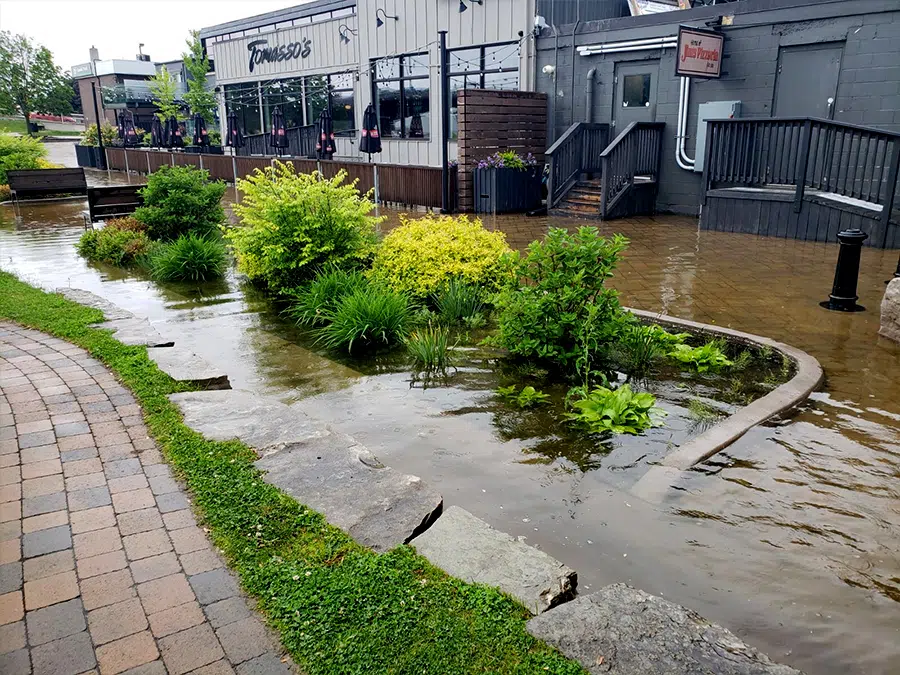 River waters rising in Trenton