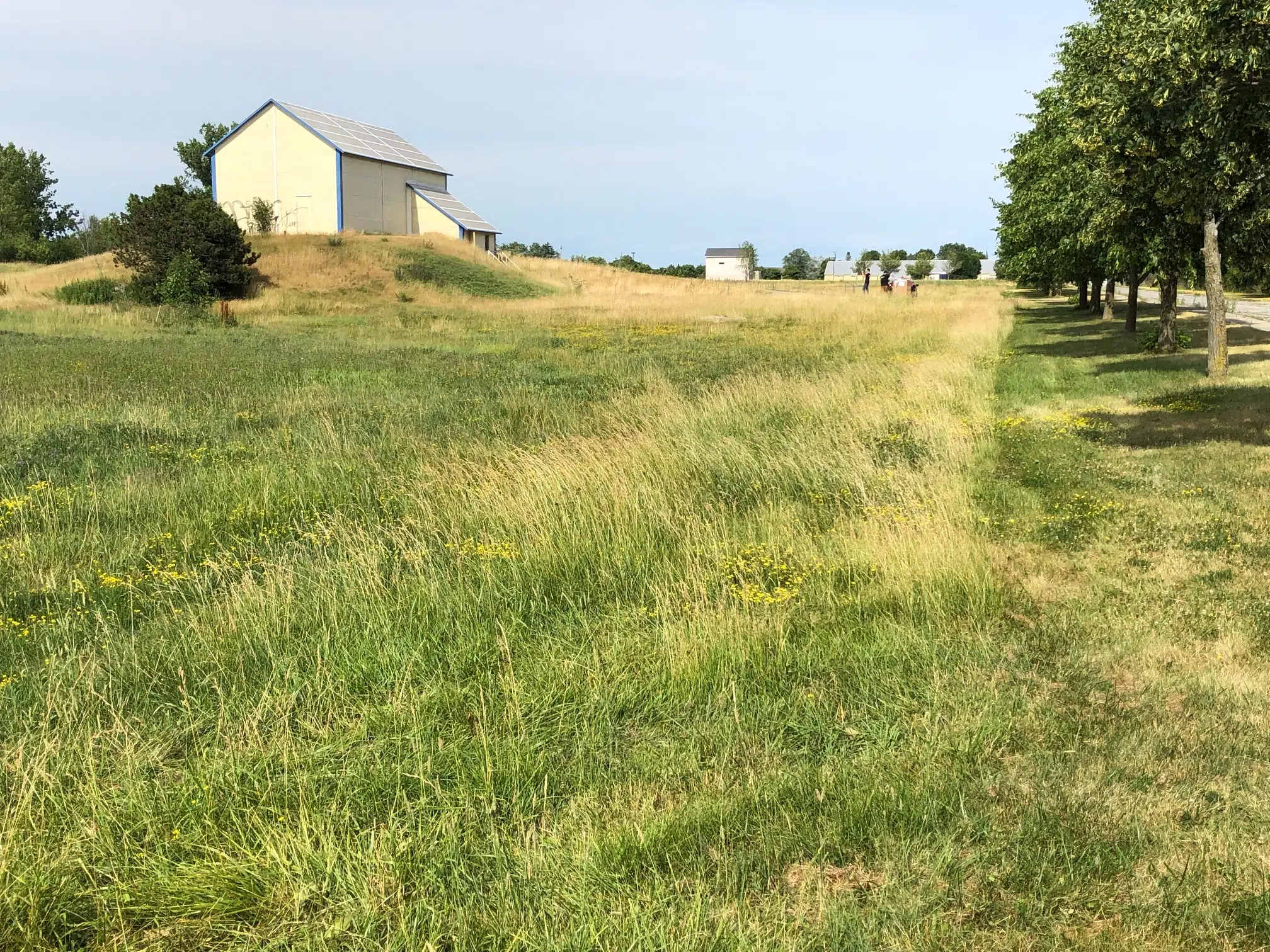 Air "at standard" near former Nortel site