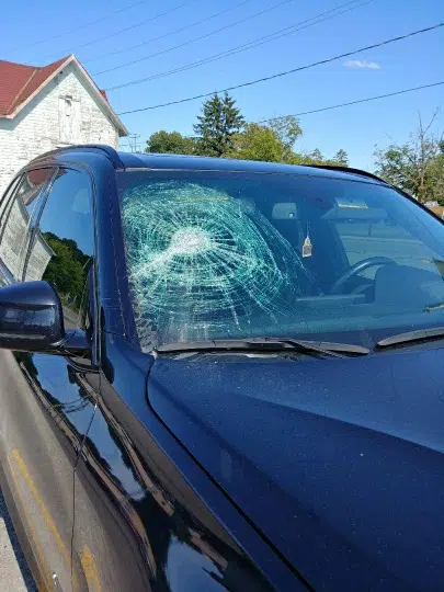 Road rage incident in Brighton