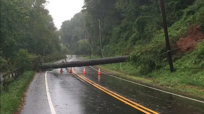 Weather statement issued ahead of windy weather