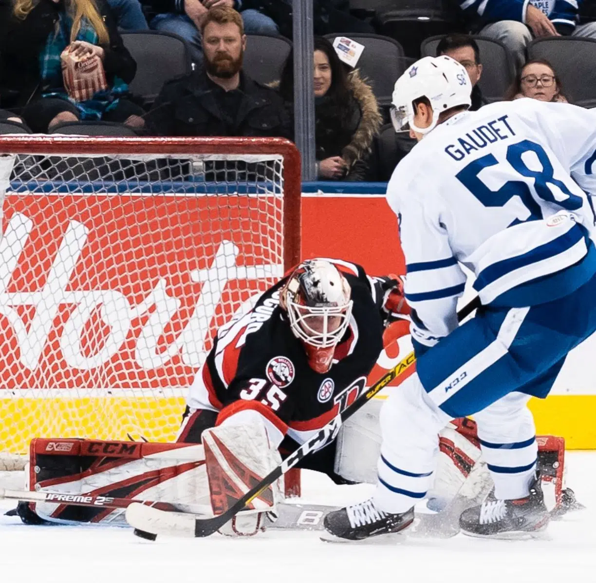 Daccord helps B-Sens stay perfect in Boxing Day Classic with Marlies