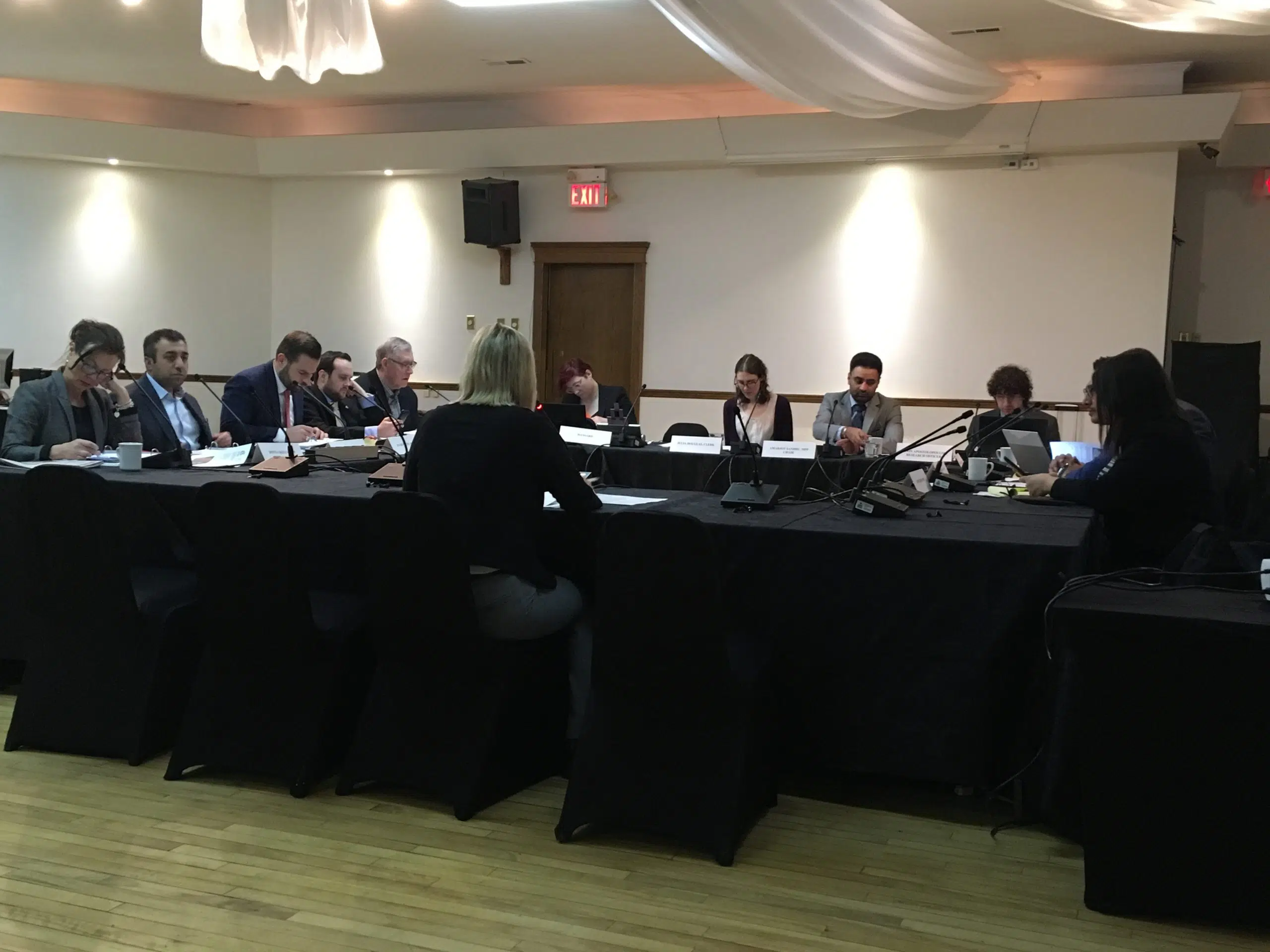 Finance committee holds pre-budget consultations