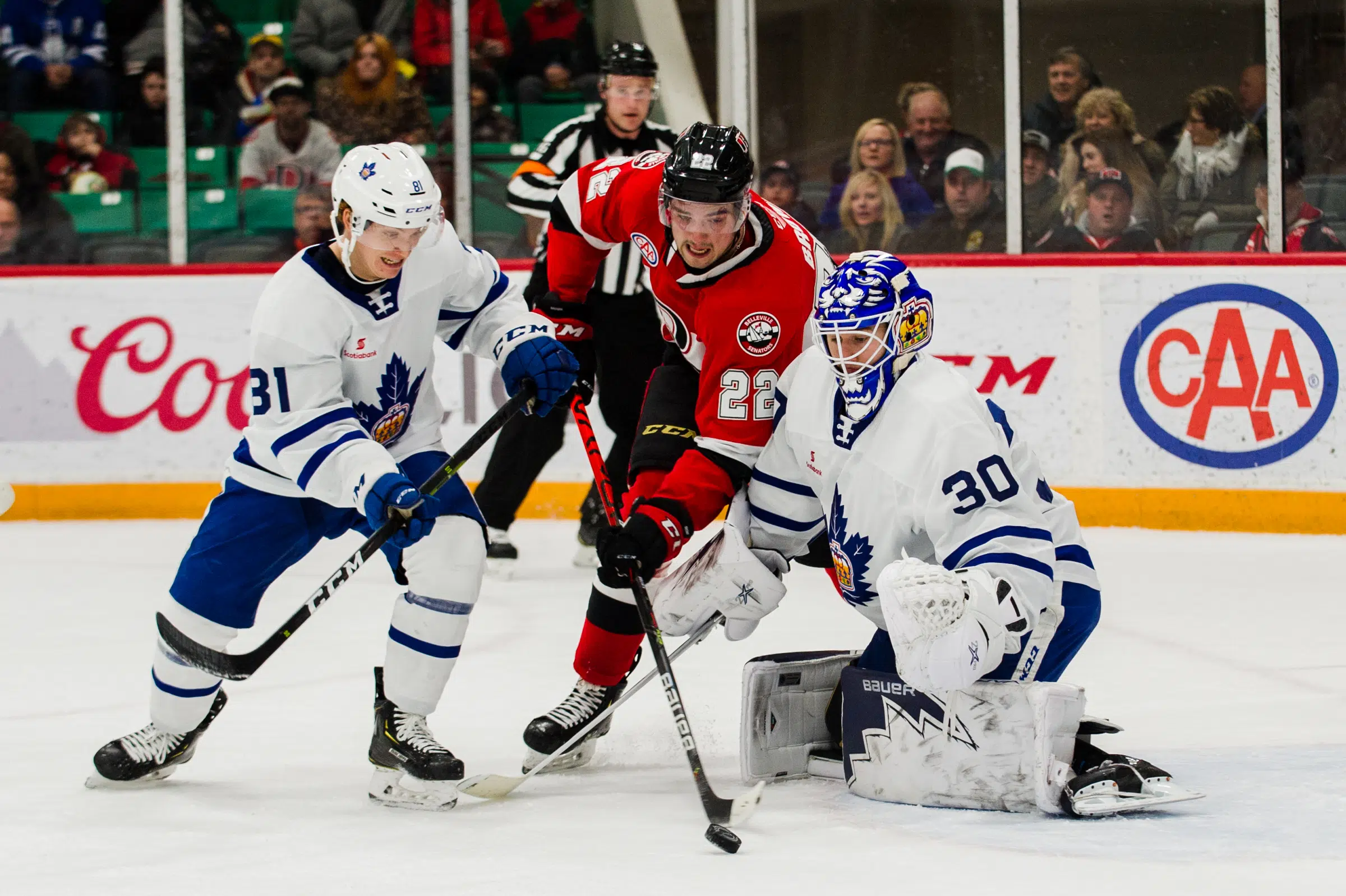 Marlies stop B-Sens' streak at seven