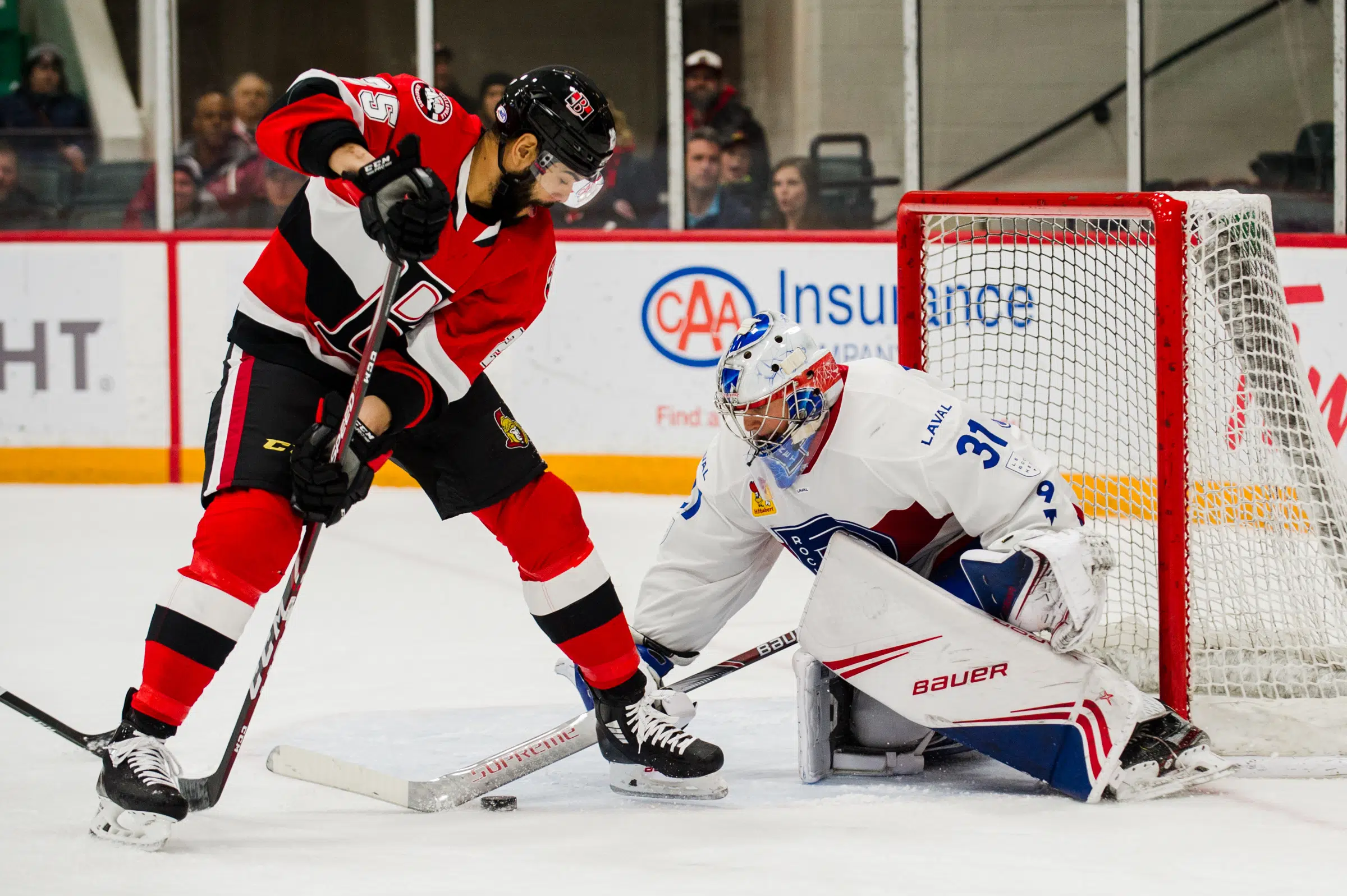 Primeau almost perfect as B-Sens fall to Rocket