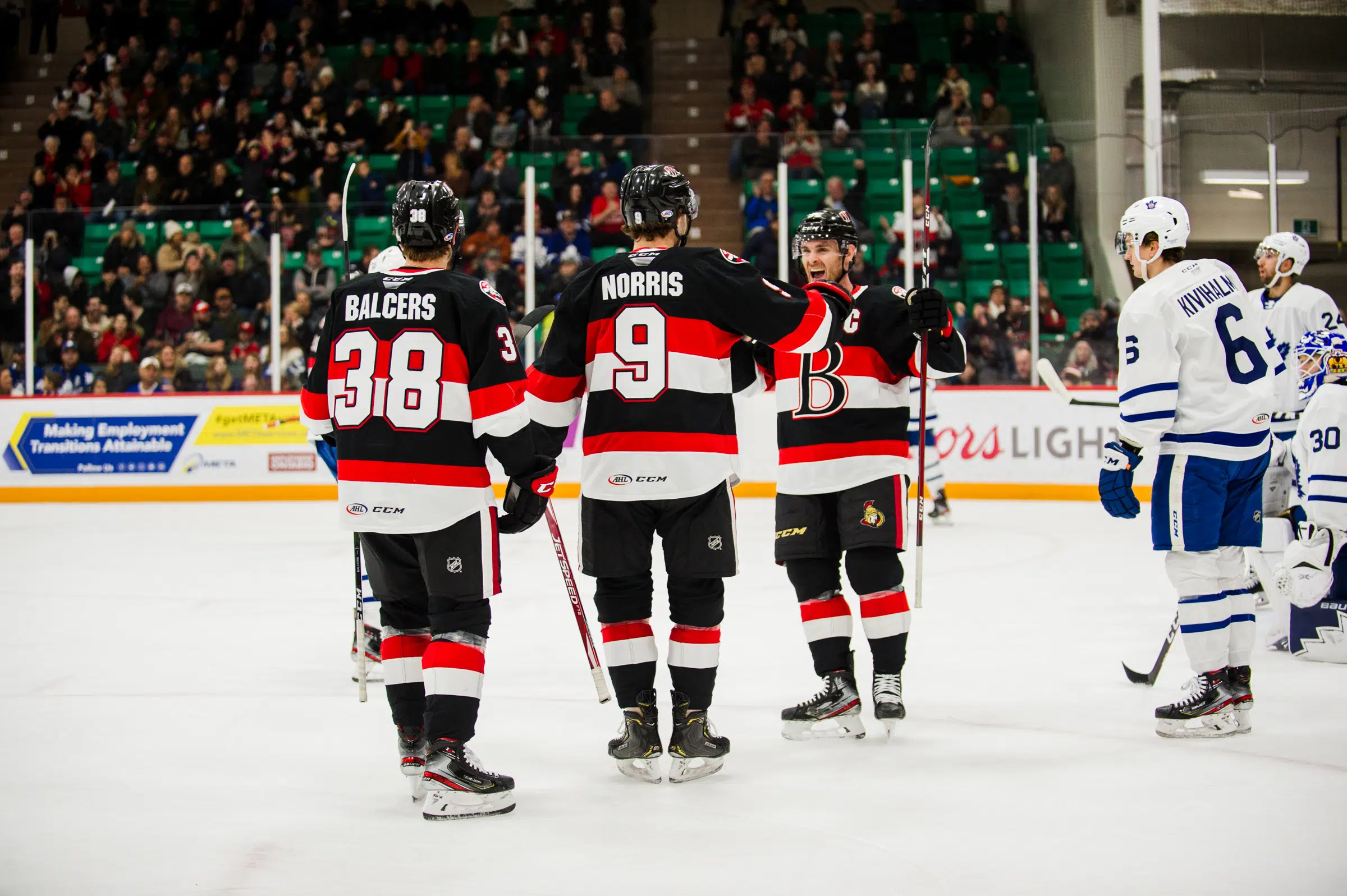 Seven Senators score in Belleville's win over Marlies