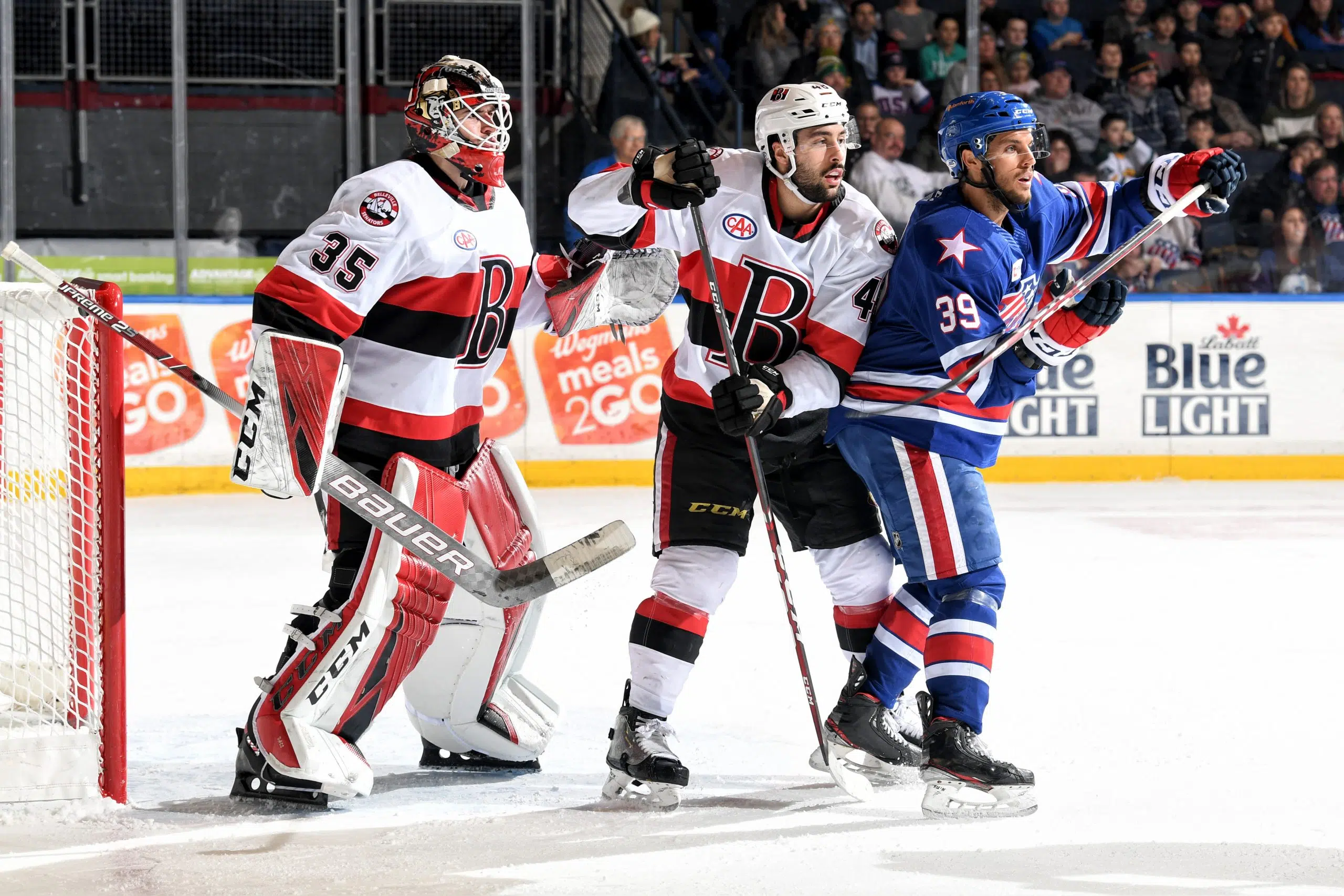 B-Sens Extend Division Lead With OT Win In Rochester | Quinte News