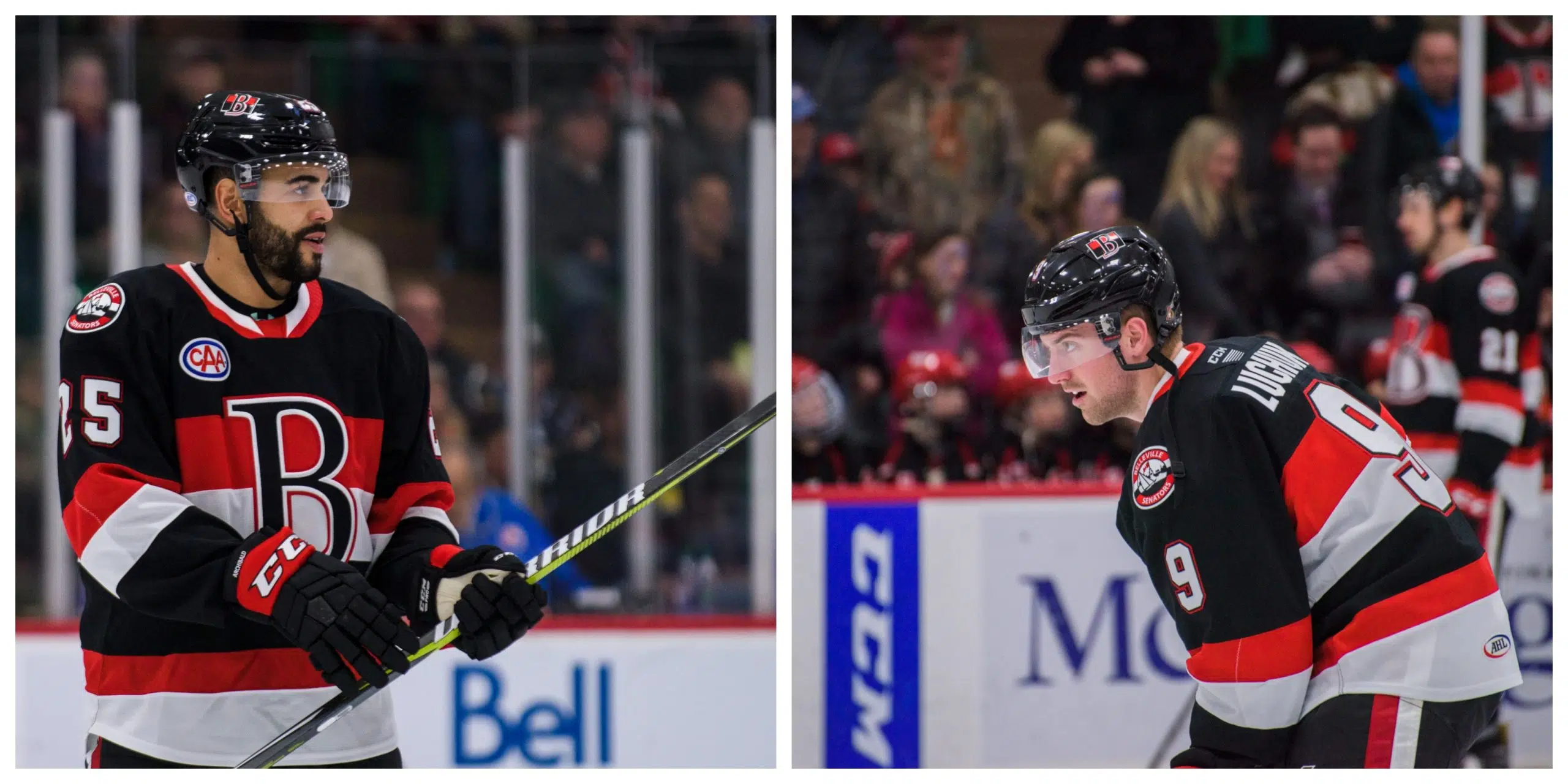 Archibald and Luchuk return as Senators swing two deals with Toronto