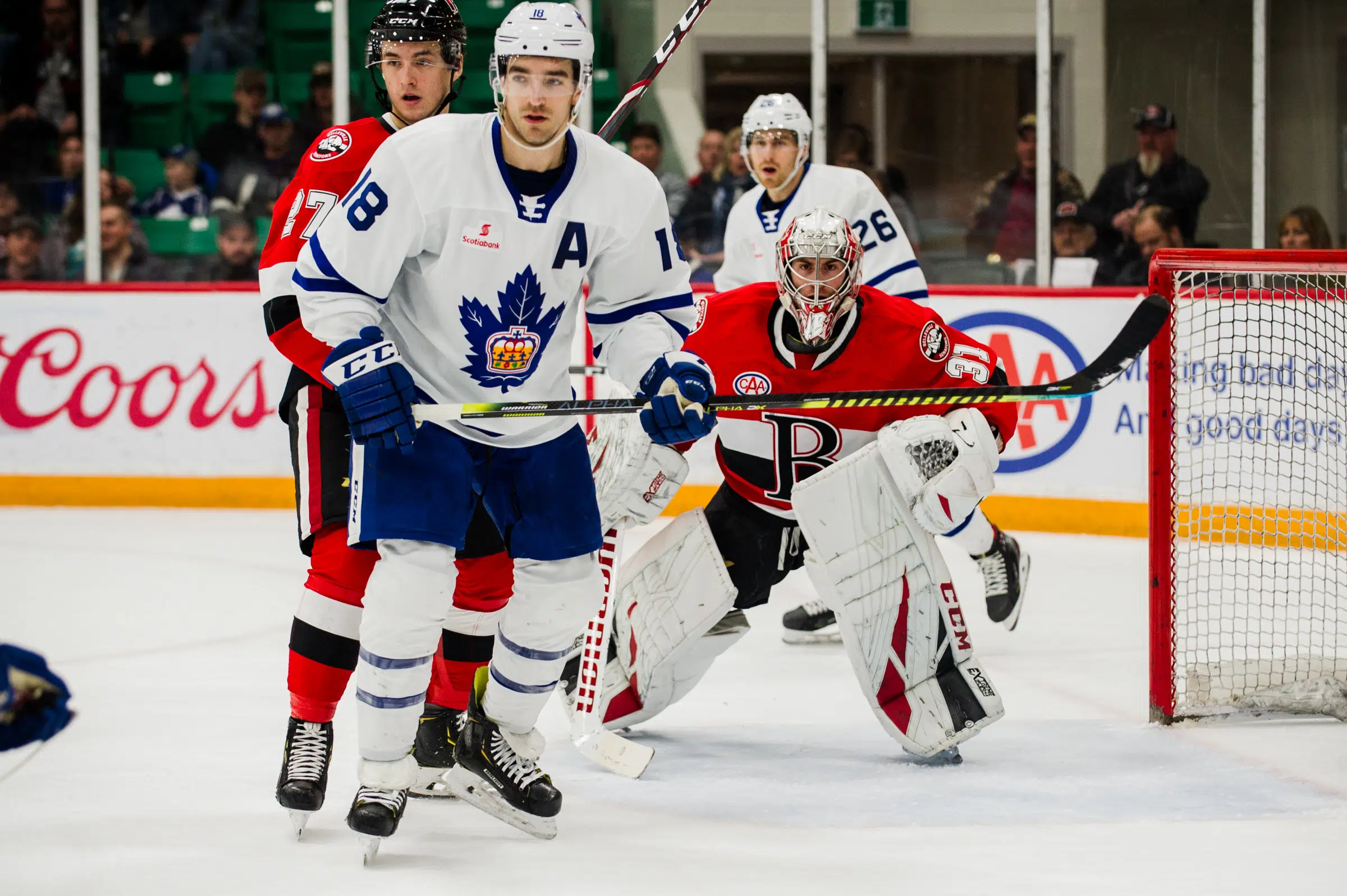 B-Sens put eight past Marlies in Dubeau's AHL debut