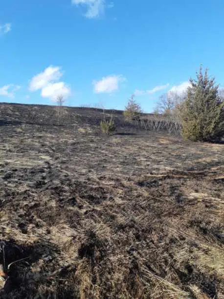 Burn ban in place after grass fire