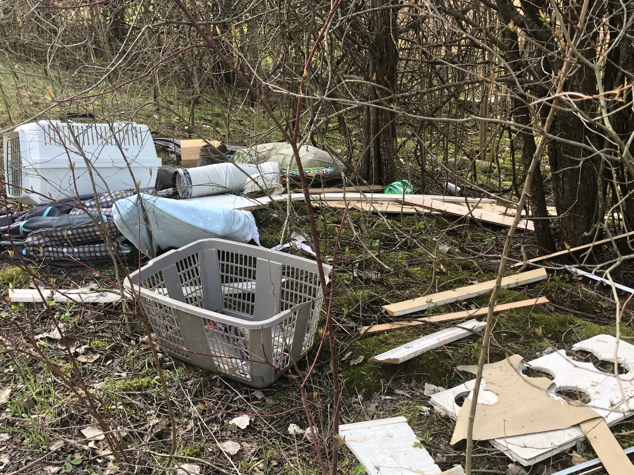 Push on to clean up Highway 401