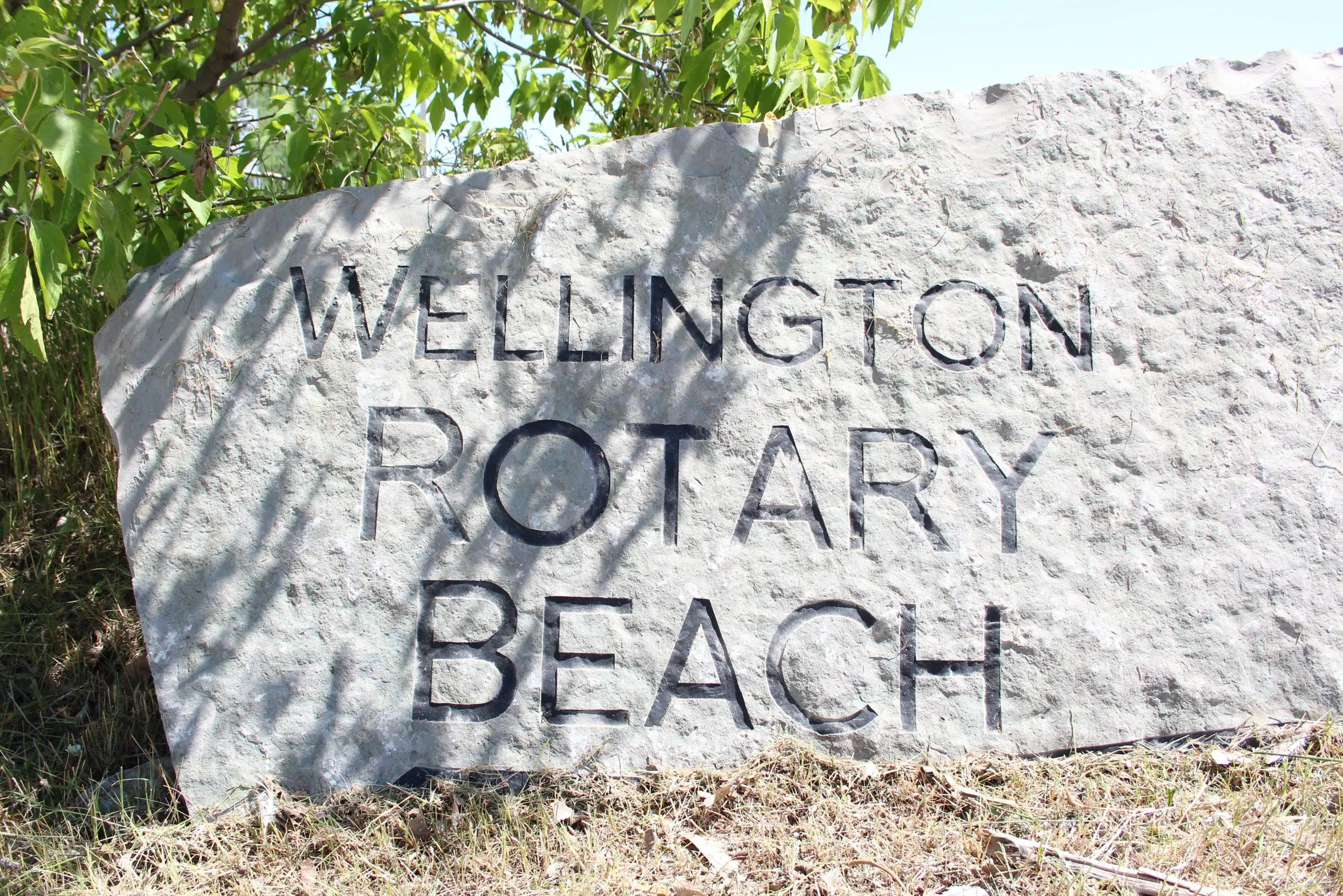 Accessibility improvements planned for Wellington beach