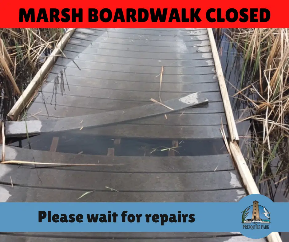 Popular boardwalk needs repair