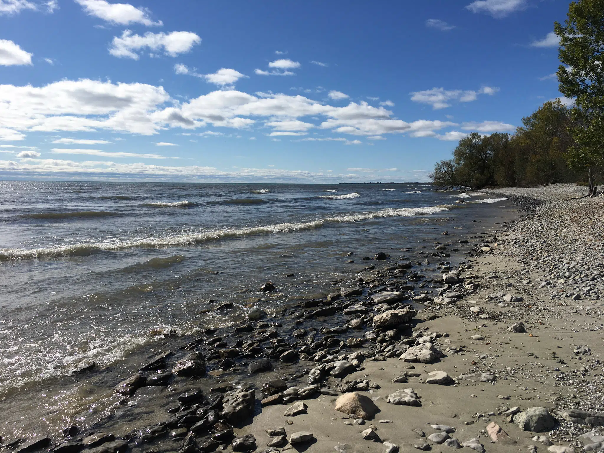 Rare piece of Prince Edward County’s undeveloped shoreline protected