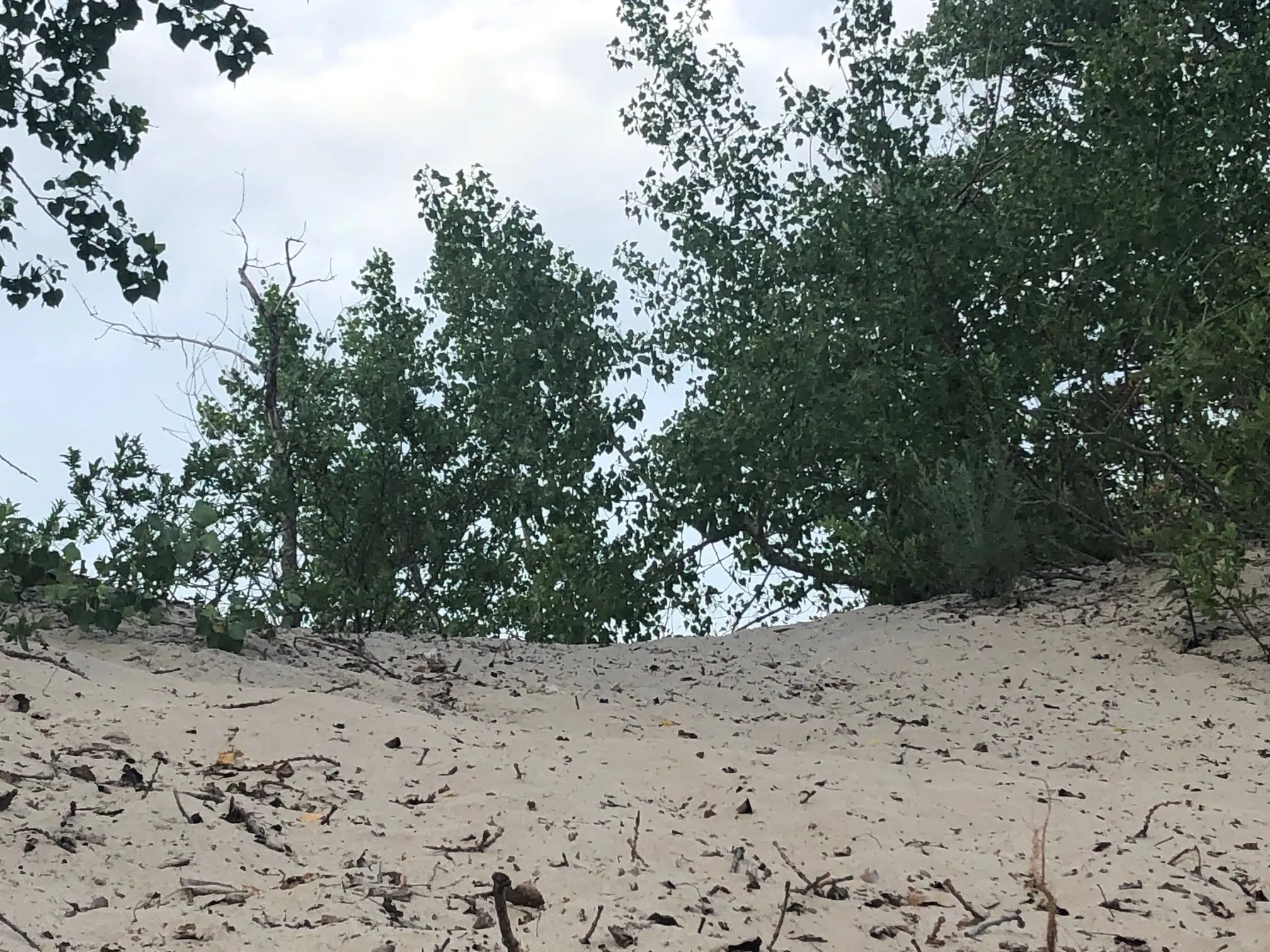 Tweed Park and Wellington Beach deemed unsafe to swim