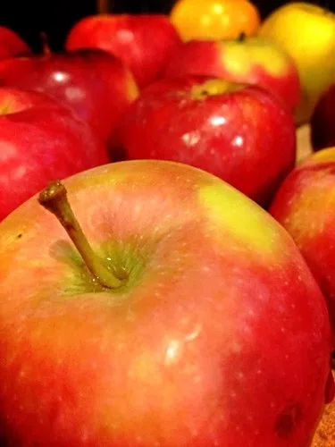 Applefest means fall fun and big $$$