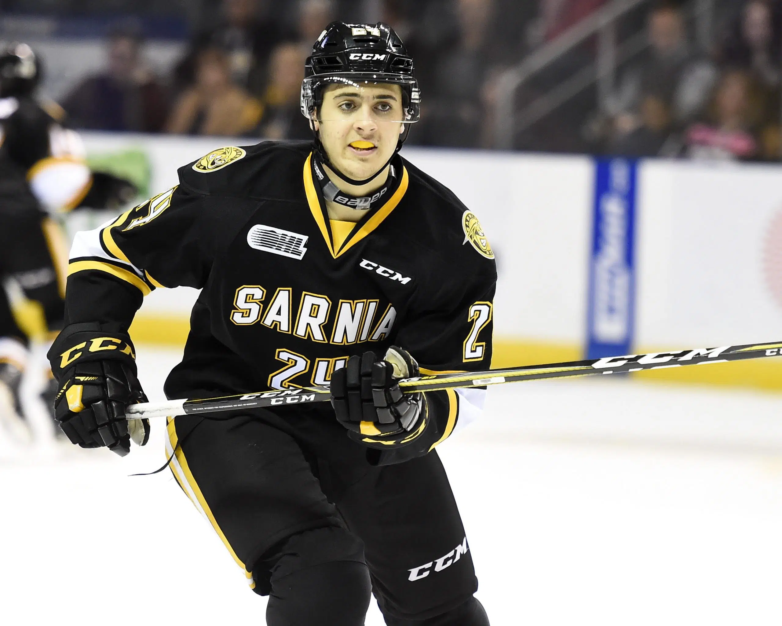 G-Hawks add big blueliner with OHL experience