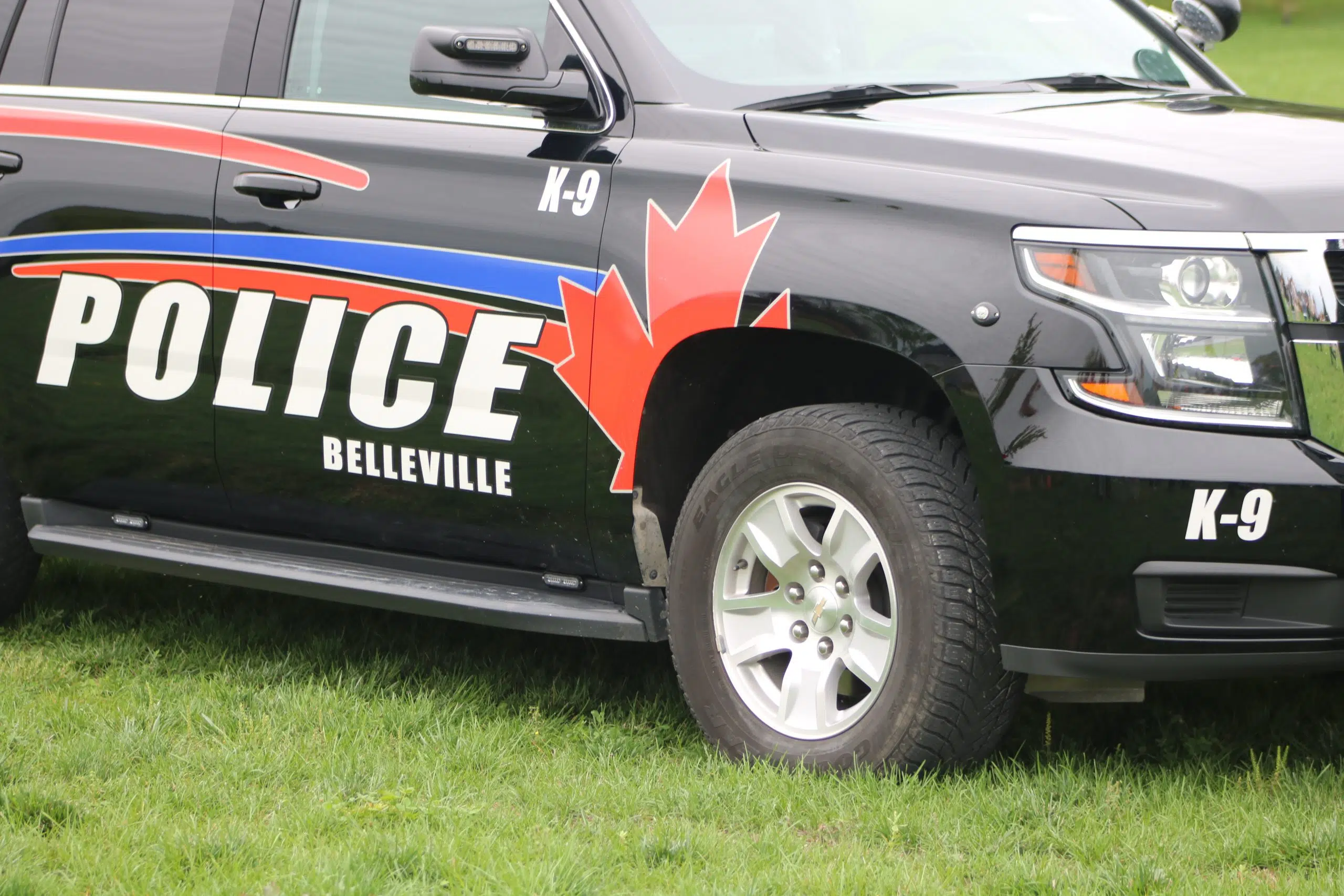 Belleville man facing charge in stabbing incident