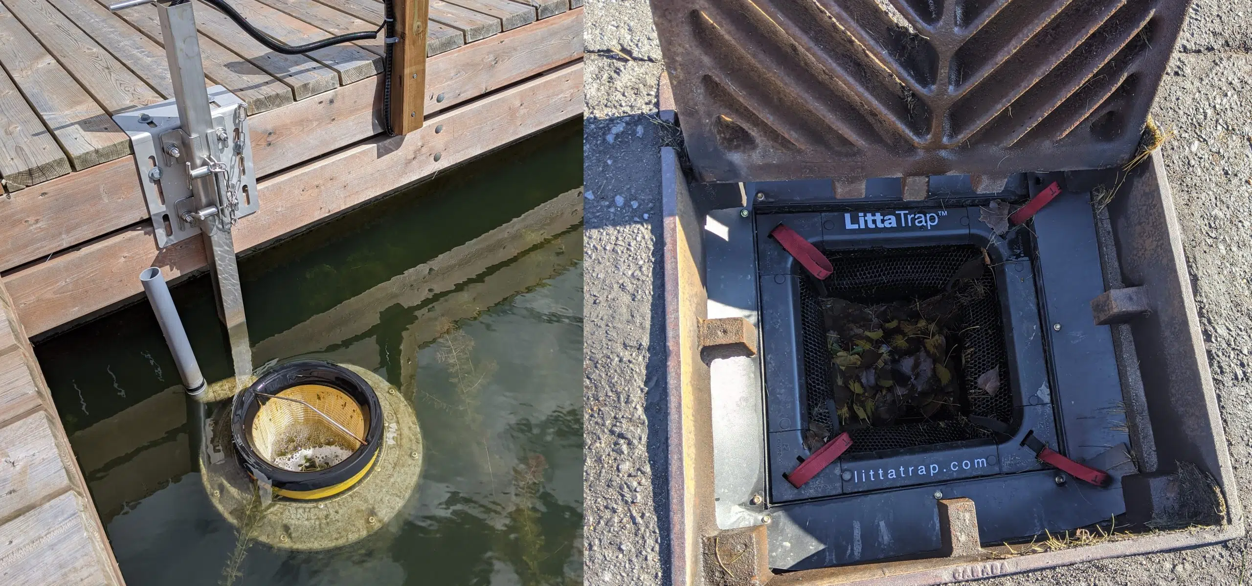 Trent Port Marina working on cleaning up the waterway