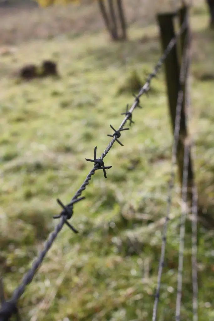 Barb wire placed on trails in PEC