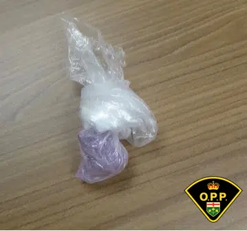 Two charged in drug investigation