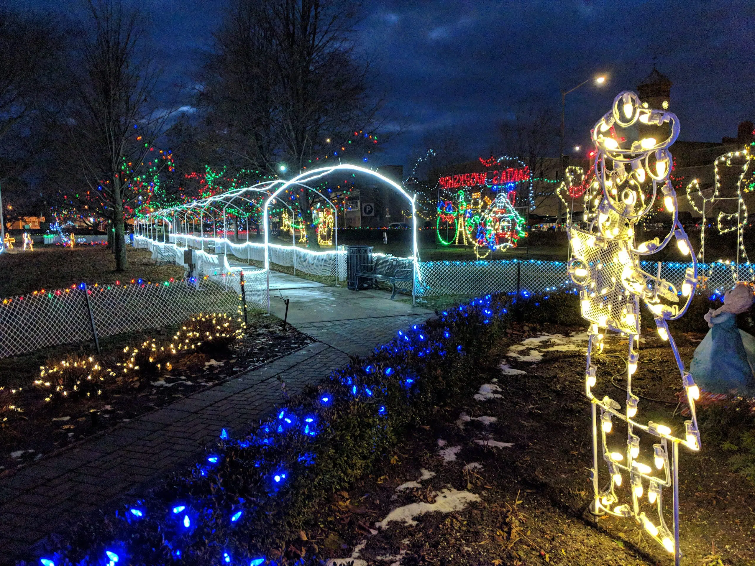 QW Christmas display at Fraser Park vandalized