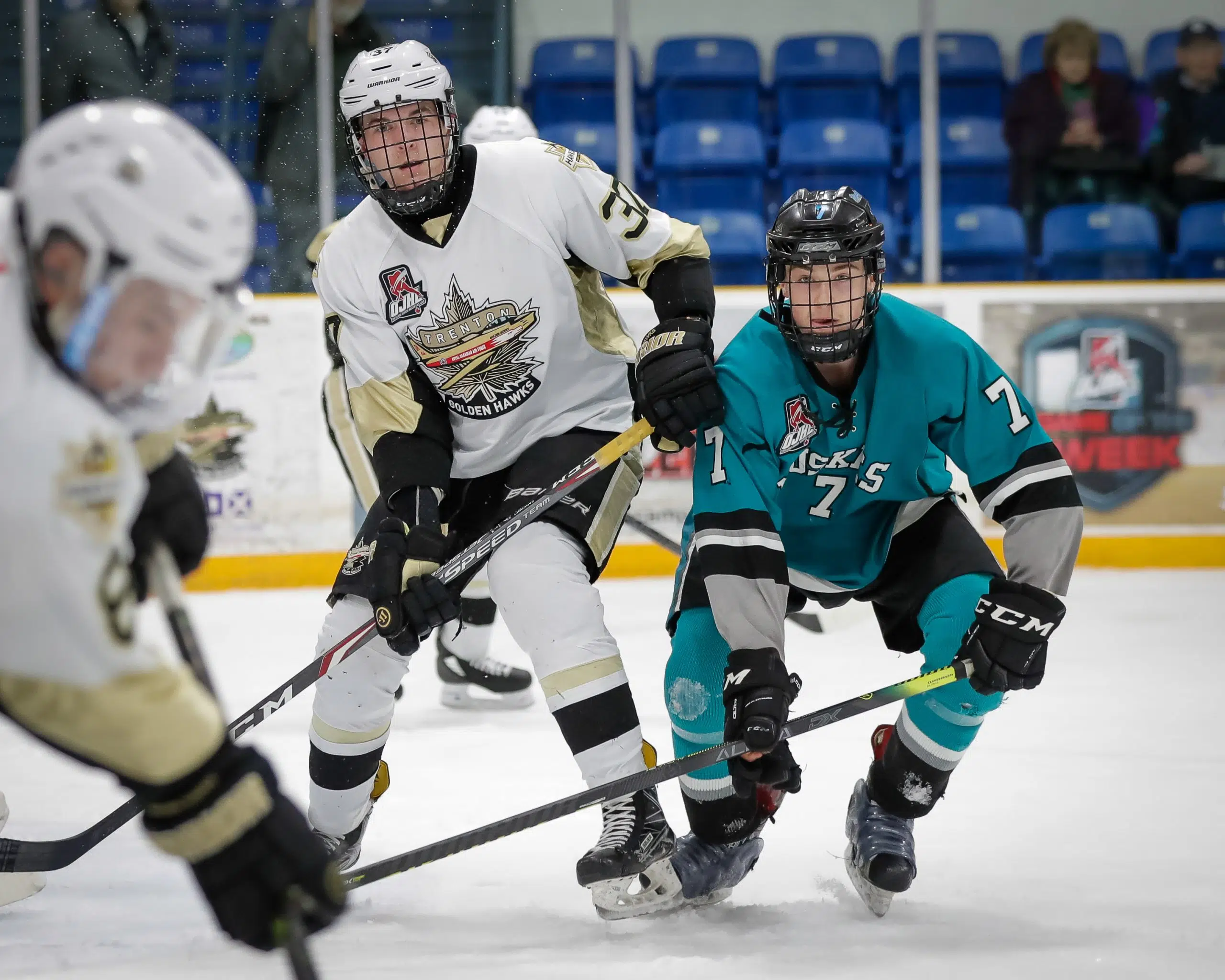 Golden Hawks to host Muskies in two-game mini set this week